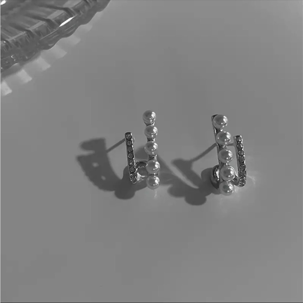 Silver Elegant Earrings